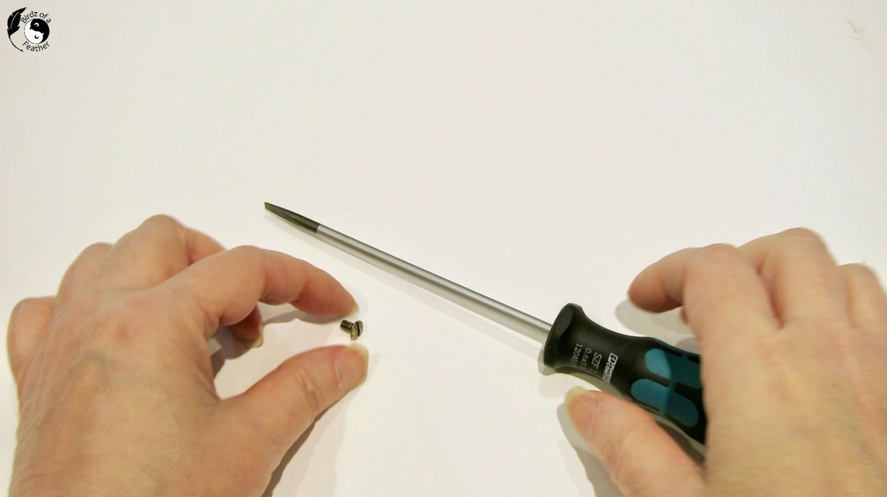 How to Use a Tool Talk Tuesday Birdz of a Feather