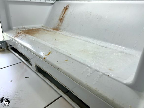 Sheet of ice on bottom of freezer drawer