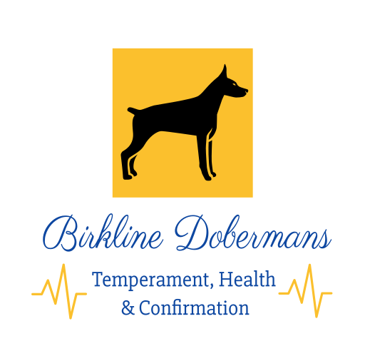 dcm test for dobermans