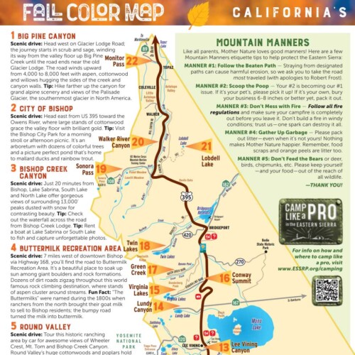 Bishop California Map Sierra Bishop Region Recreation Topo Map And Fall Color Map 500x500 