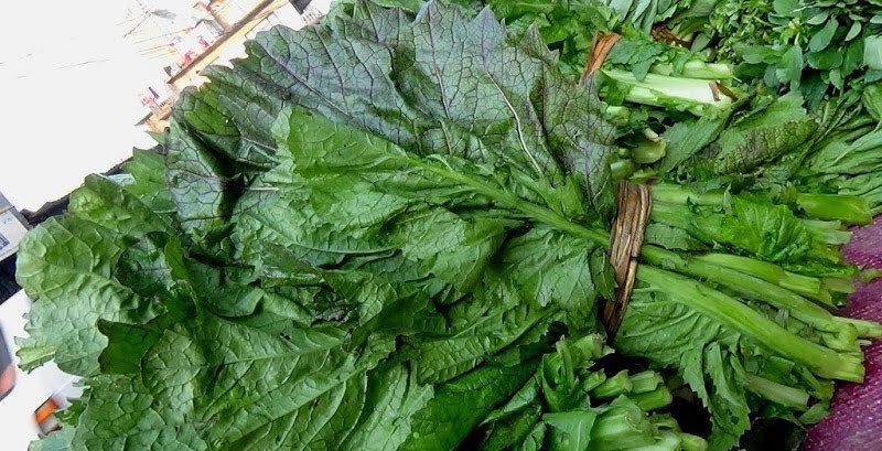 rayo saag