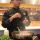 Healthy Indian Cooking in Chicago