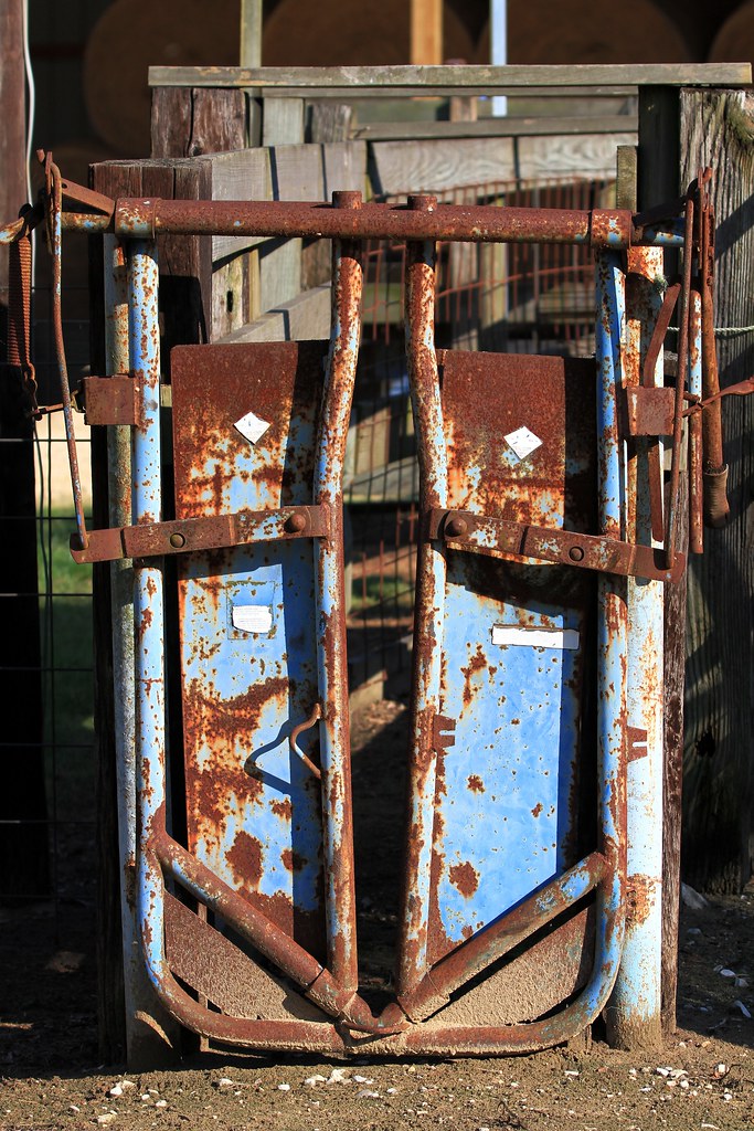Homemade Head Gate For Cattle - High Quality Mobile Nature Arts | Free Download