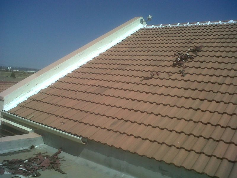 Flashing Meaning - Nature Design Collection - Mobile Quality