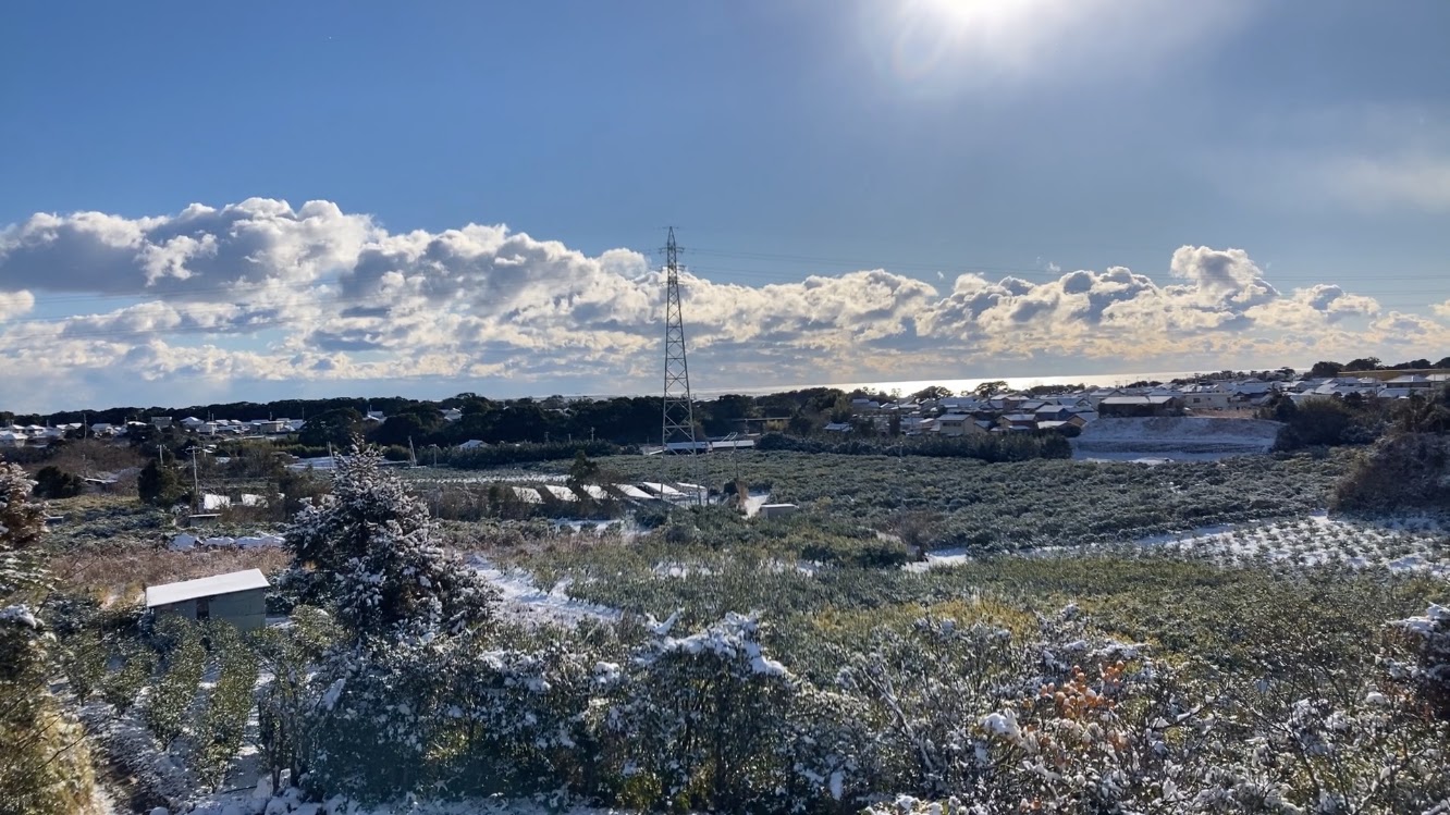 初めての
