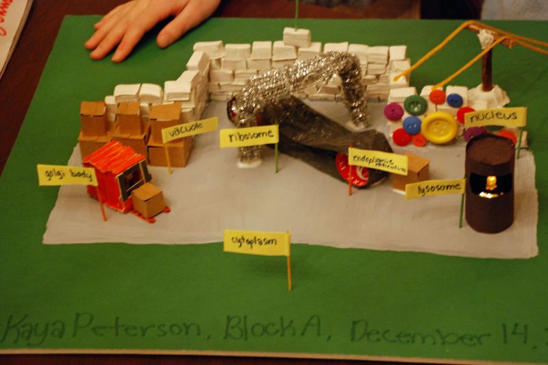 School Science Project Ideas Science Project For Class 7 Students - Premium Landscape Art Gallery - Retina