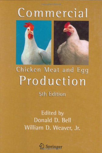 Pdf Business Plan 5000 Layers Poultry Poultry Farming Macy Begley Pdf Database