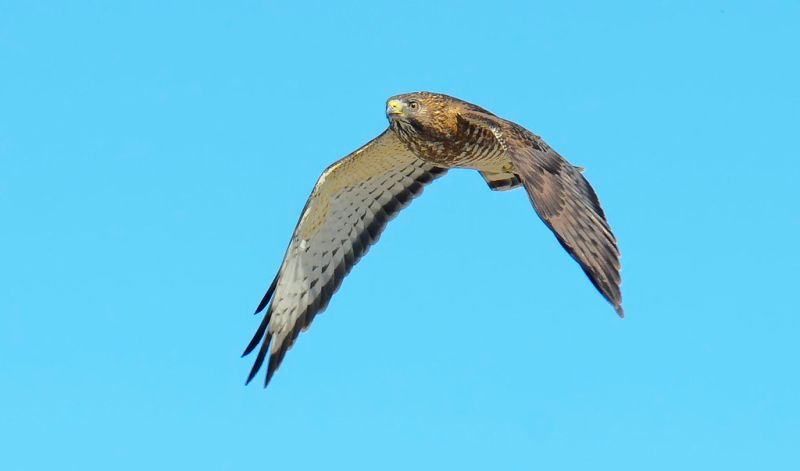 Laredo Texas Zip Code Zip Code Laredo Texas Zip Code Un Iso - Best Space Wallpapers in Desktop