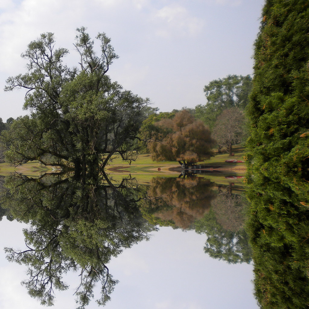 Adu Atca Myo Bahcesi 362 Visitors