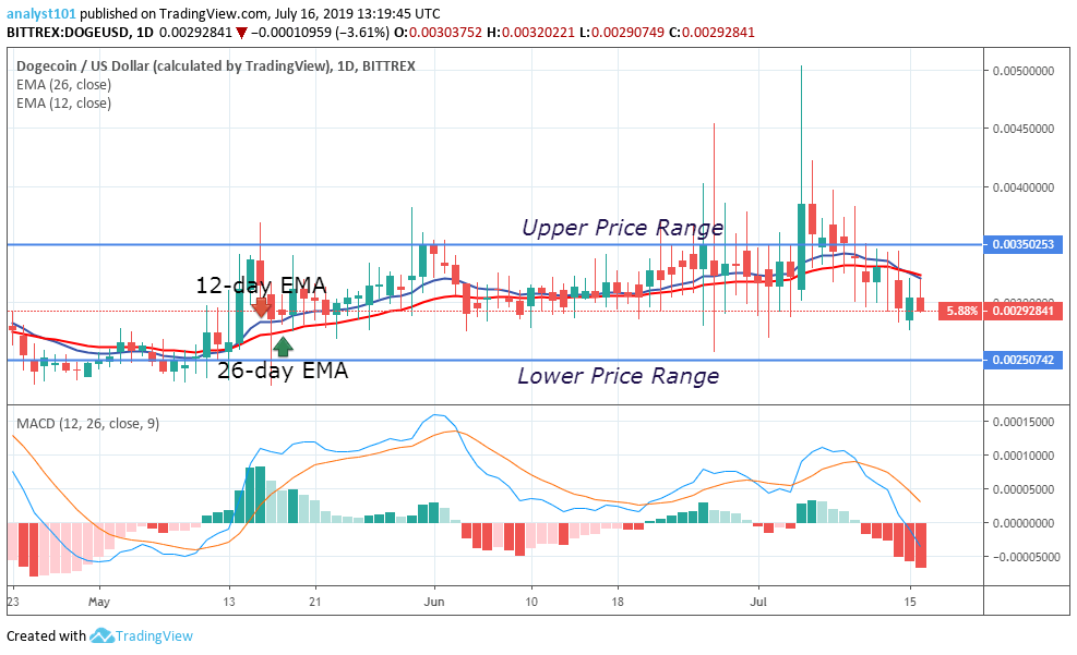 Dogecoin Value Today : Dogecoin Price Prediction Today: Daily (DOGE) Value ...