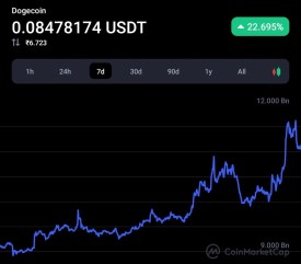 Libdogecoin protocol push developments of mobile apps for the Dogecoin network: Report 2 Libdogecoin protocol push developments of mobile apps for the Dogecoin network: Report 2