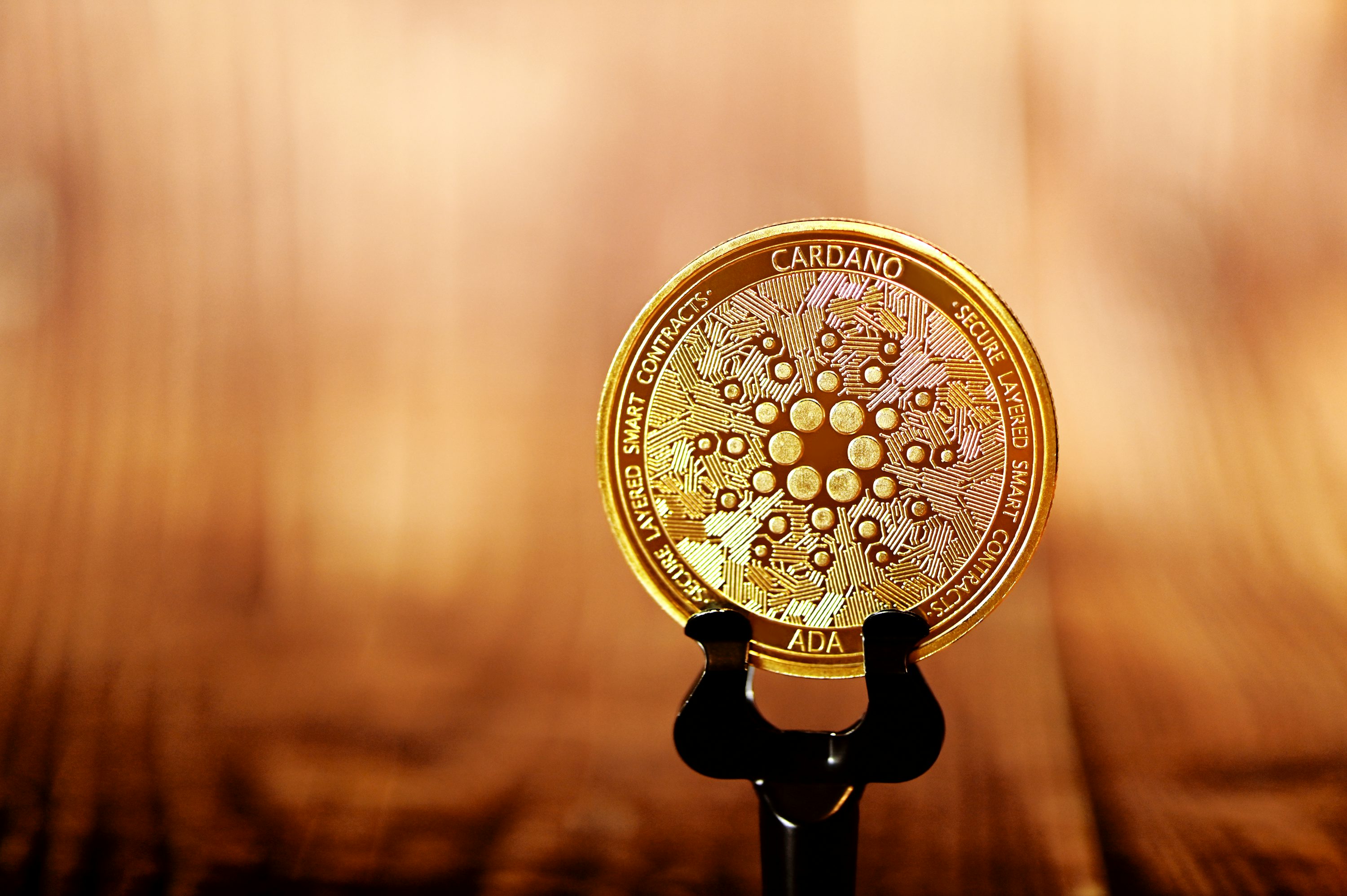 Cardano-Gründer enthüllt „Spielplan“ für 2026, aber kann sich der ADA-Preis noch erholen?
-yes-credit.ru Cardano-Gründer enthüllt „Spielplan“ für 2026, aber kann sich der ADA-Preis noch erholen?
-yes-credit.ru