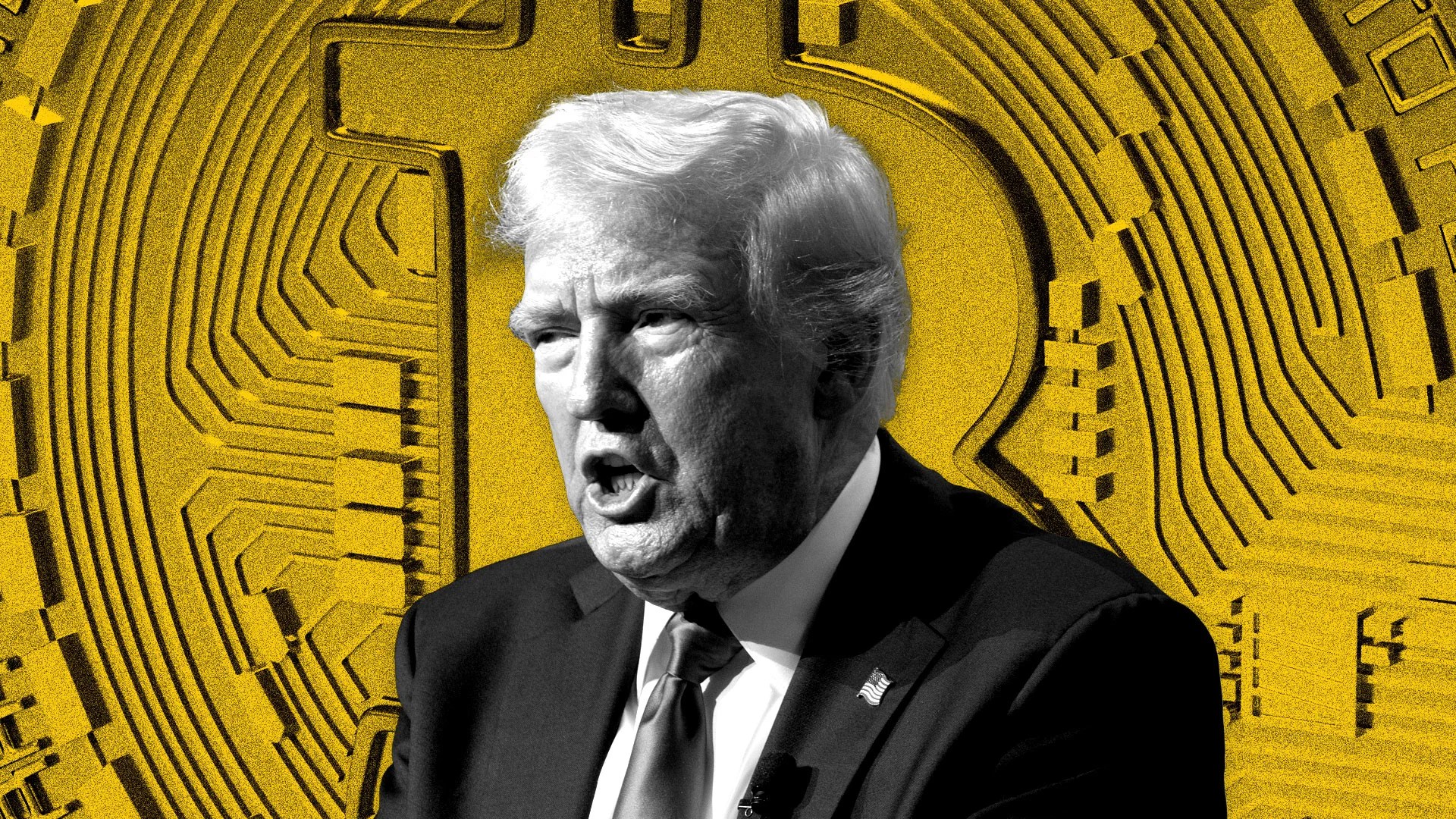 Warren Urges Banking Regulator To Block Crypto Constitution Linked To Trump