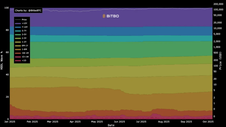 BITCOIN | Over 60% of Bitcoin Hasn't Been Moved in a Year