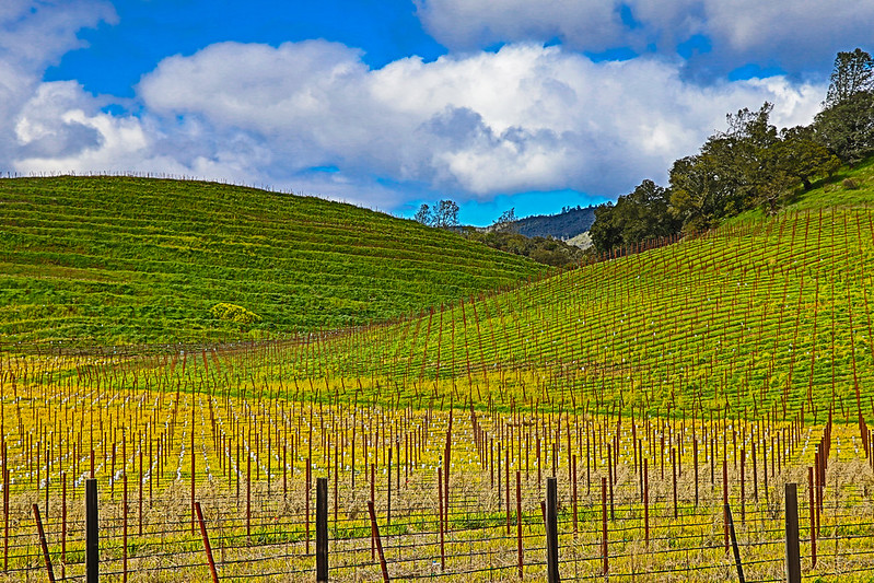 napa