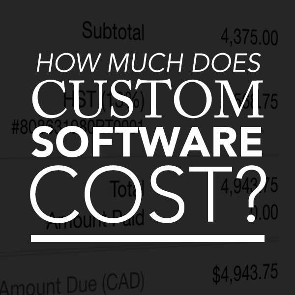How much does custom software cost?