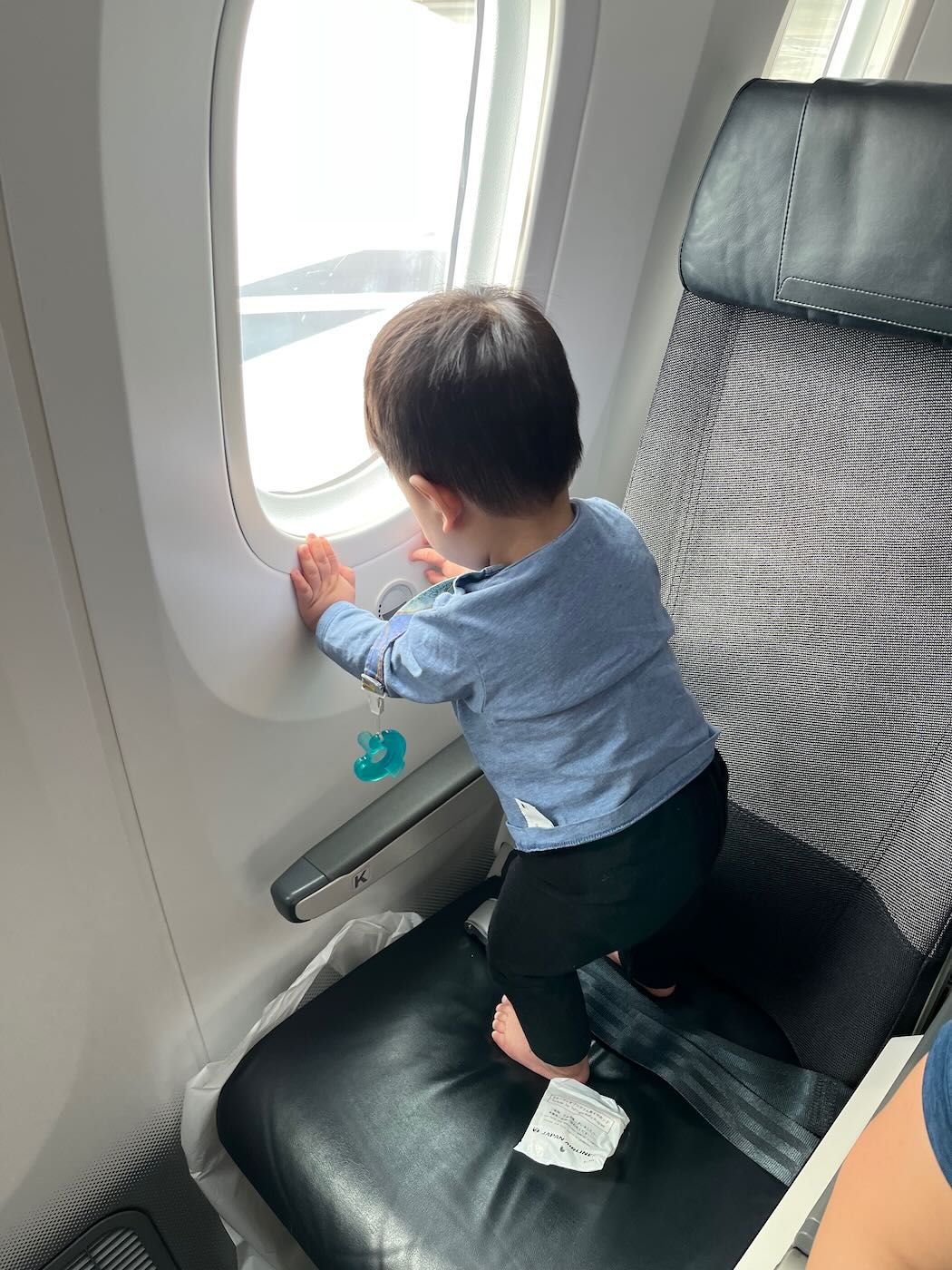 飛行紀錄 日本航空 JL113 東京羽田 - 大阪伊丹 - 一口冒險 Bitesized Adventure 飛行紀錄 日本航空 JL113 東京羽田 - 大阪伊丹 - 一口冒險 Bitesized Adventure