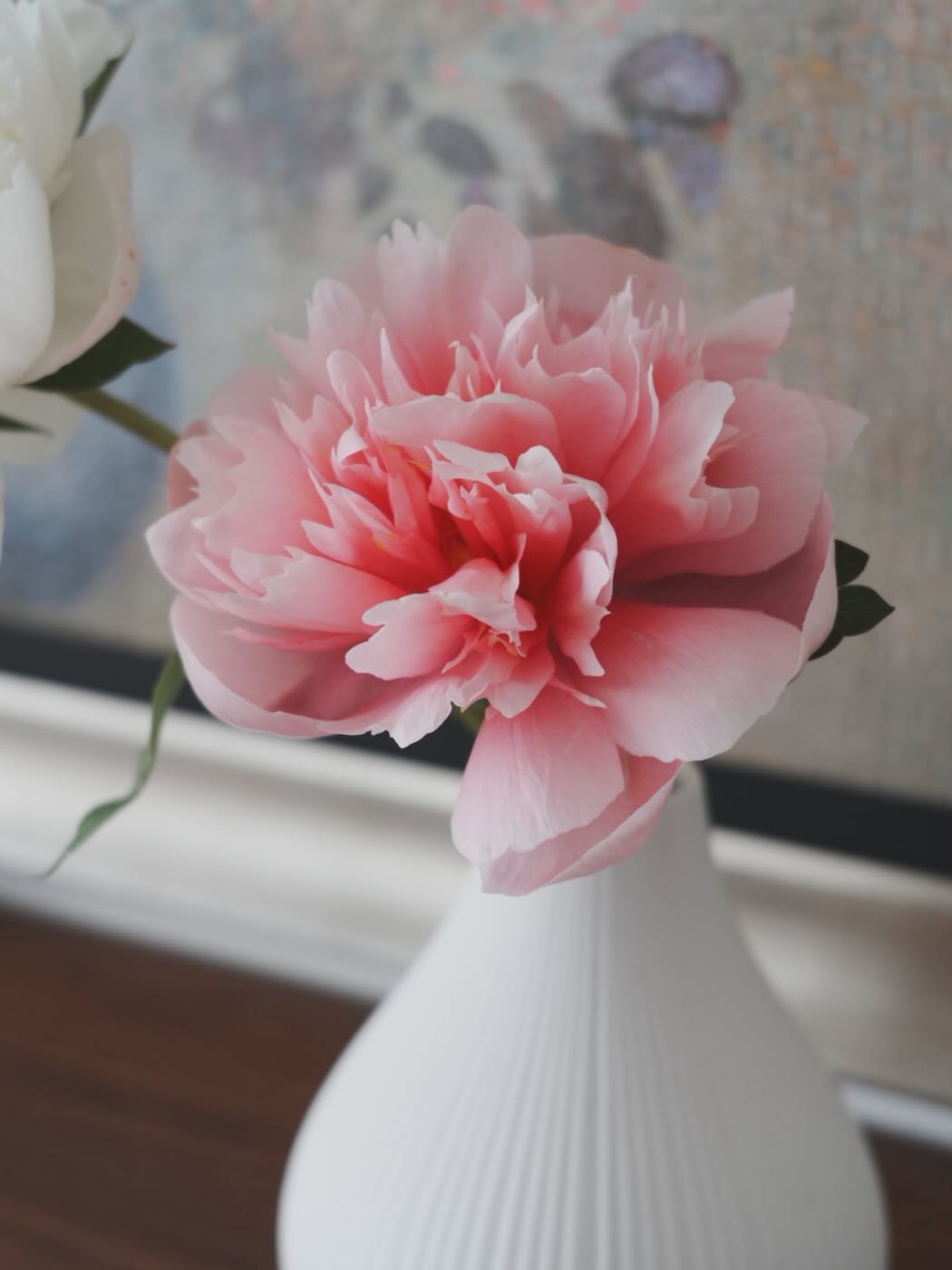 浮光記事 2024 五月 - 一口冒險 Bitesized Adventure 浮光記事 2024 五月 - 一口冒險 Bitesized Adventure