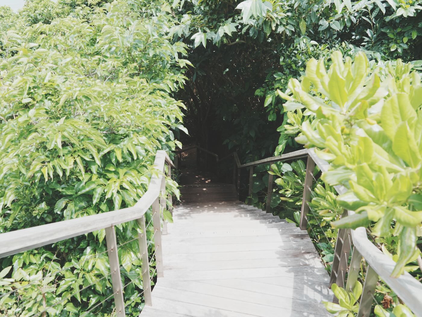 沖繩美食 虹夕諾雅 沖繩 Banta Cafe 看海踏浪 非住客也大推薦的咖啡廳 - 一口冒險 Bitesized Adventure 沖繩美食 虹夕諾雅 沖繩 Banta Cafe 看海踏浪 非住客也大推薦的咖啡廳 - 一口冒險 Bitesized Adventure