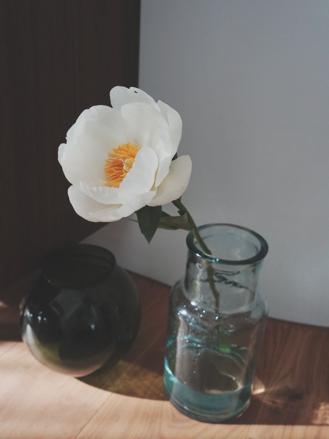 浮光記事 2025 四月 - 一口冒險 Bitesized Adventure