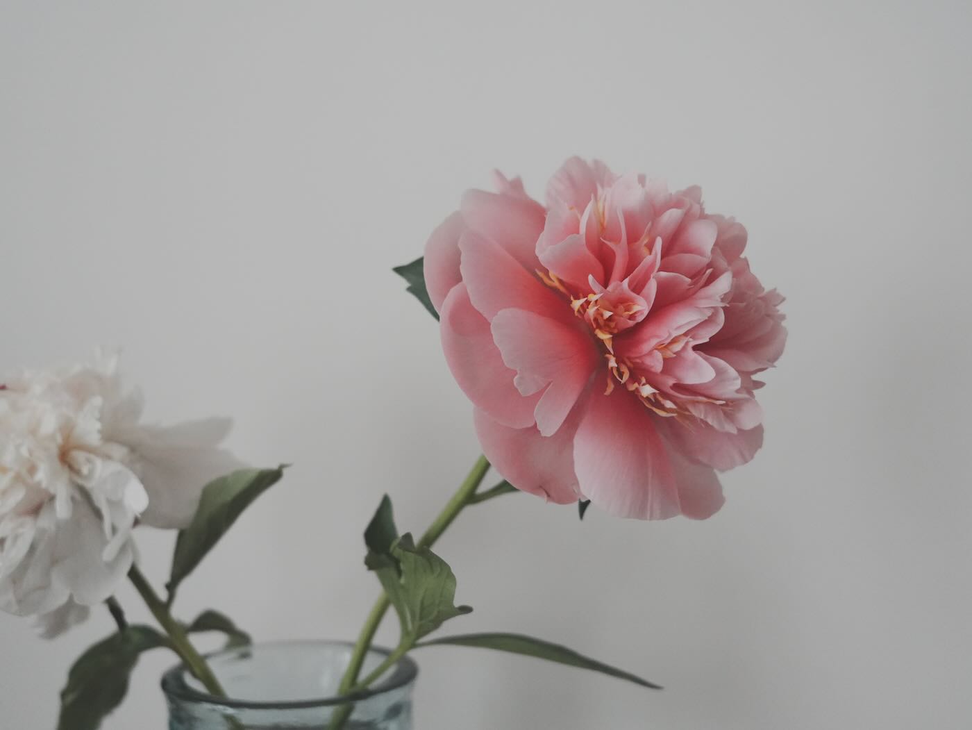 浮光記事 2025 五月 - 一口冒險 Bitesized Adventure 浮光記事 2025 五月 - 一口冒險 Bitesized Adventure