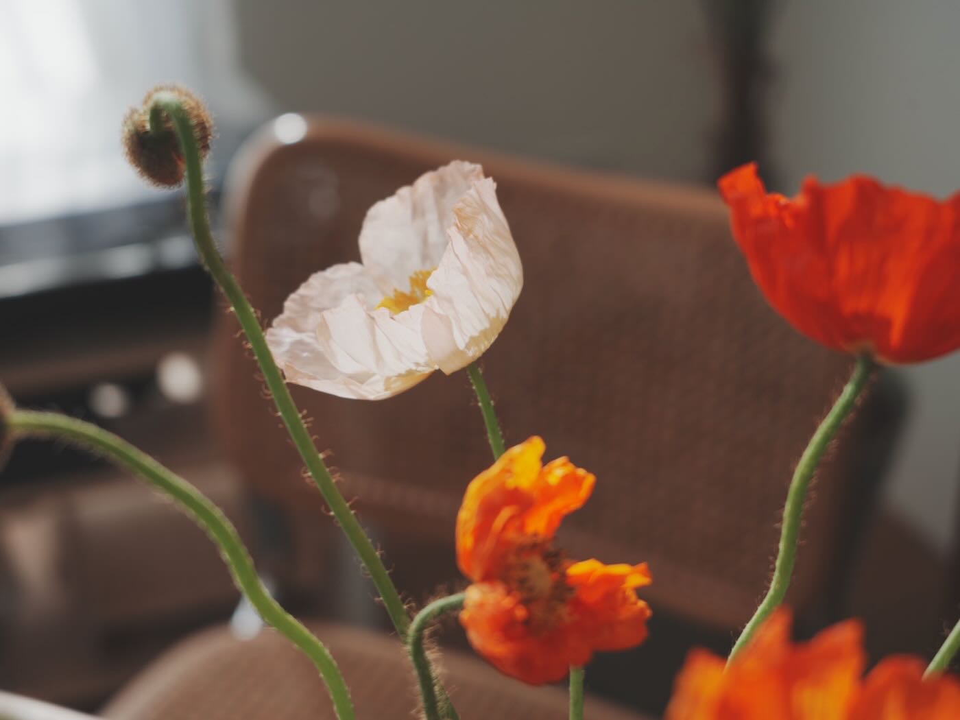 浮光記事 2025 二月 - 一口冒險 Bitesized Adventure 浮光記事 2025 二月 - 一口冒險 Bitesized Adventure