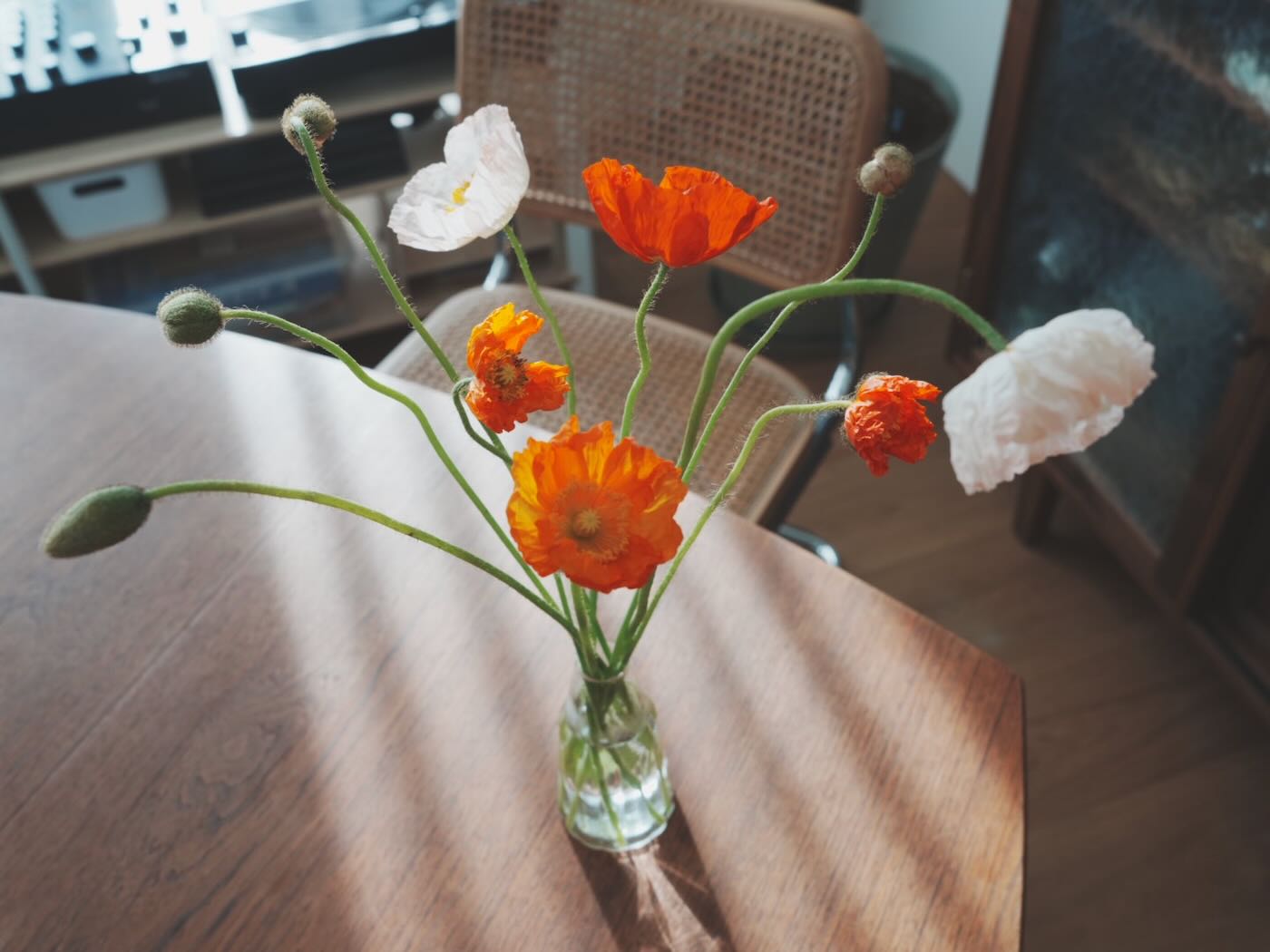 浮光記事 2025 二月 - 一口冒險 Bitesized Adventure 浮光記事 2025 二月 - 一口冒險 Bitesized Adventure