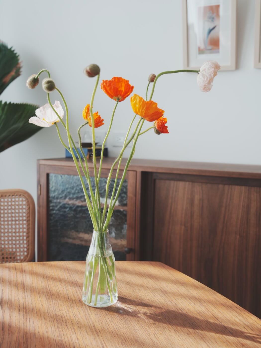 浮光記事 2025 二月 - 一口冒險 Bitesized Adventure 浮光記事 2025 二月 - 一口冒險 Bitesized Adventure