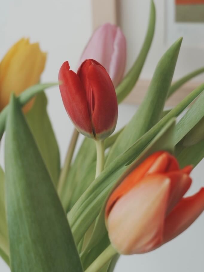 浮光記事 2025 二月 - 一口冒險 Bitesized Adventure 浮光記事 2025 二月 - 一口冒險 Bitesized Adventure