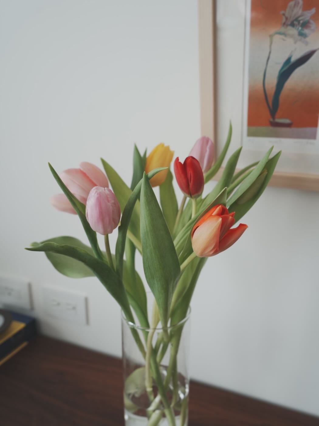 浮光記事 2025 二月 - 一口冒險 Bitesized Adventure 浮光記事 2025 二月 - 一口冒險 Bitesized Adventure