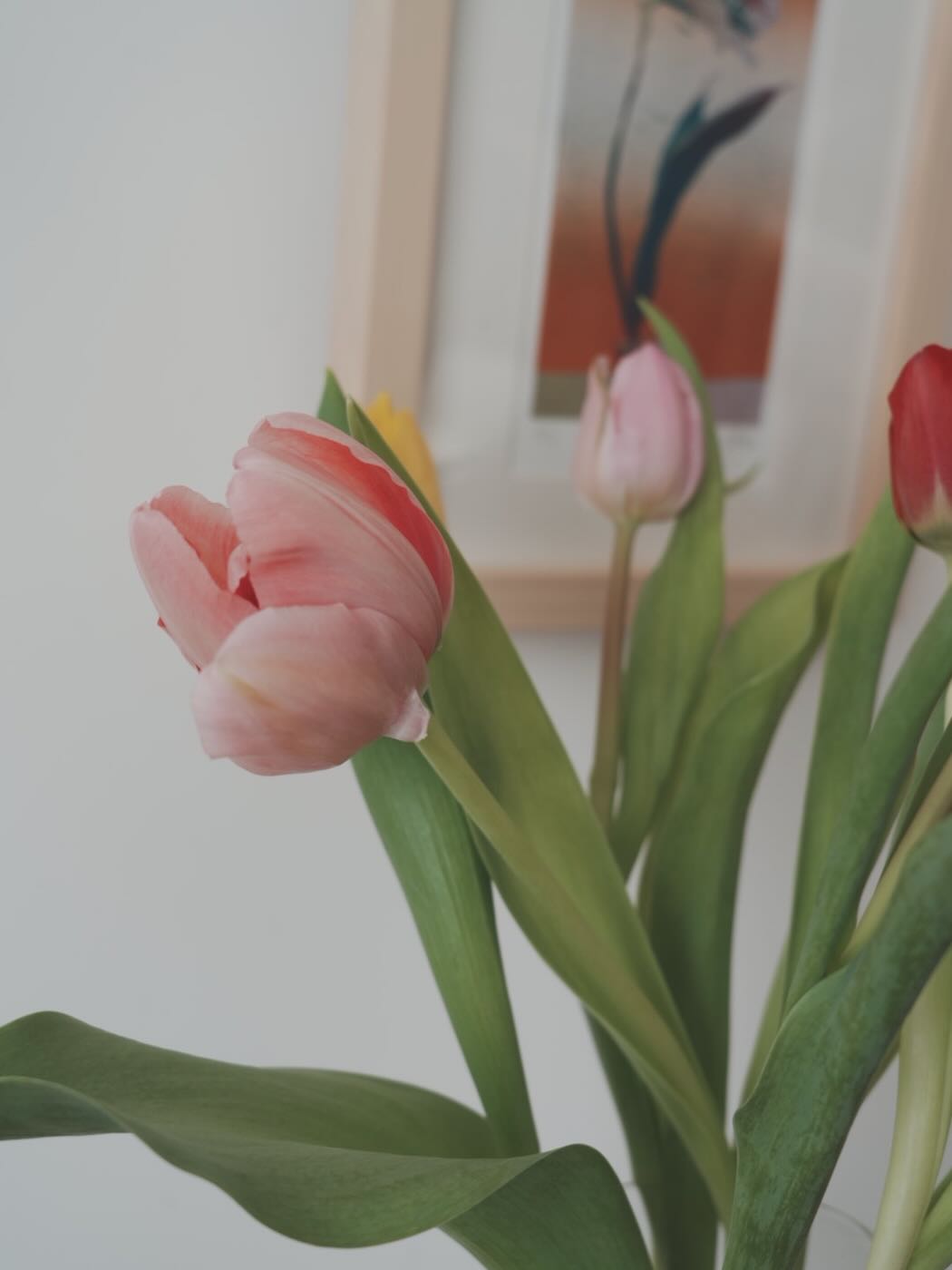 浮光記事 2025 二月 - 一口冒險 Bitesized Adventure 浮光記事 2025 二月 - 一口冒險 Bitesized Adventure