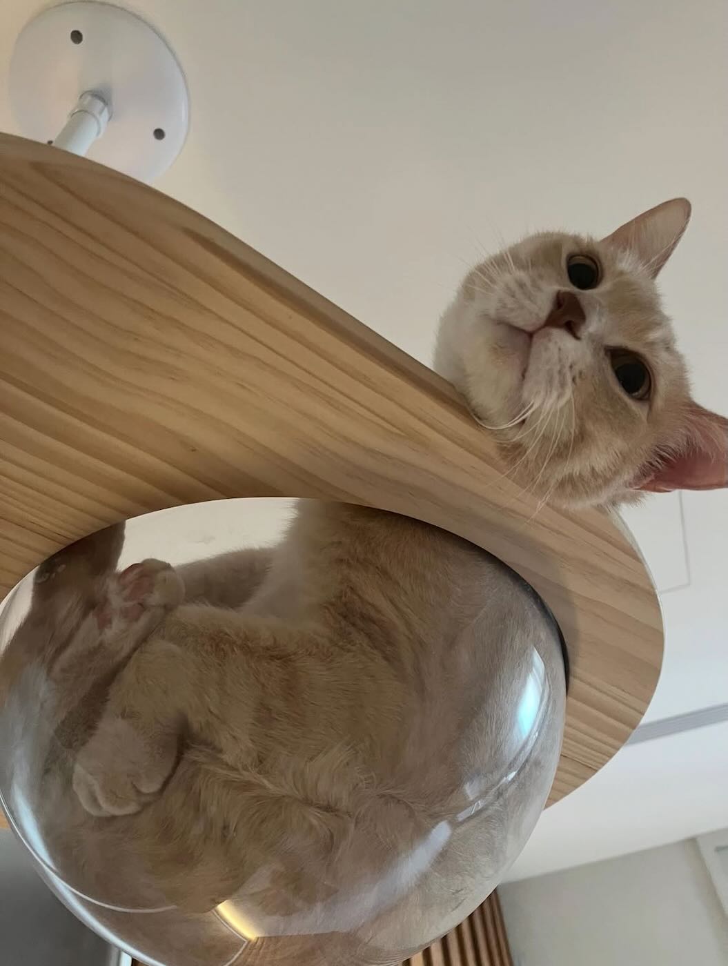 浮光記事 2025 二月 - 一口冒險 Bitesized Adventure 浮光記事 2025 二月 - 一口冒險 Bitesized Adventure