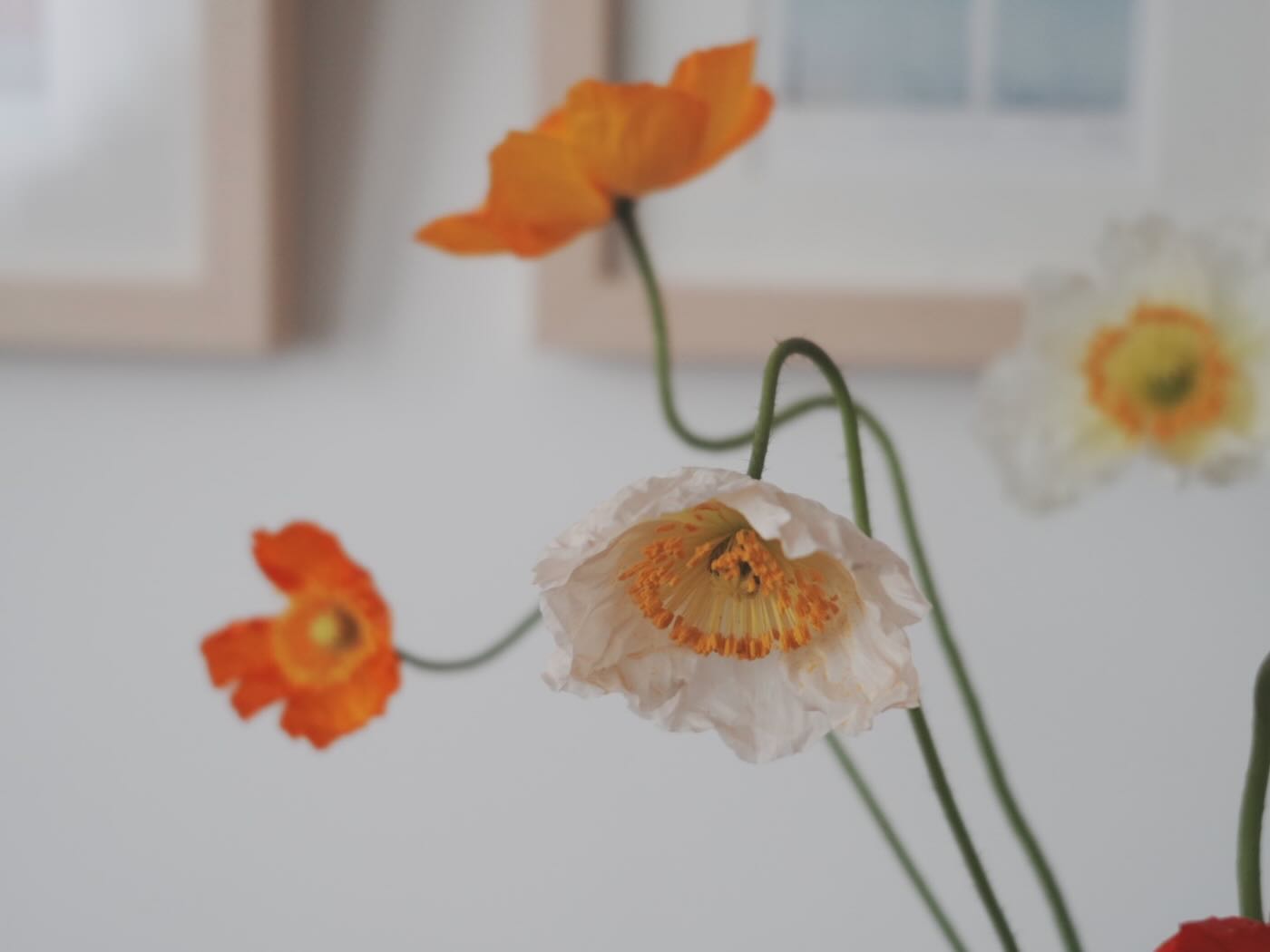 浮光記事 2025 三月 - 一口冒險 Bitesized Adventure