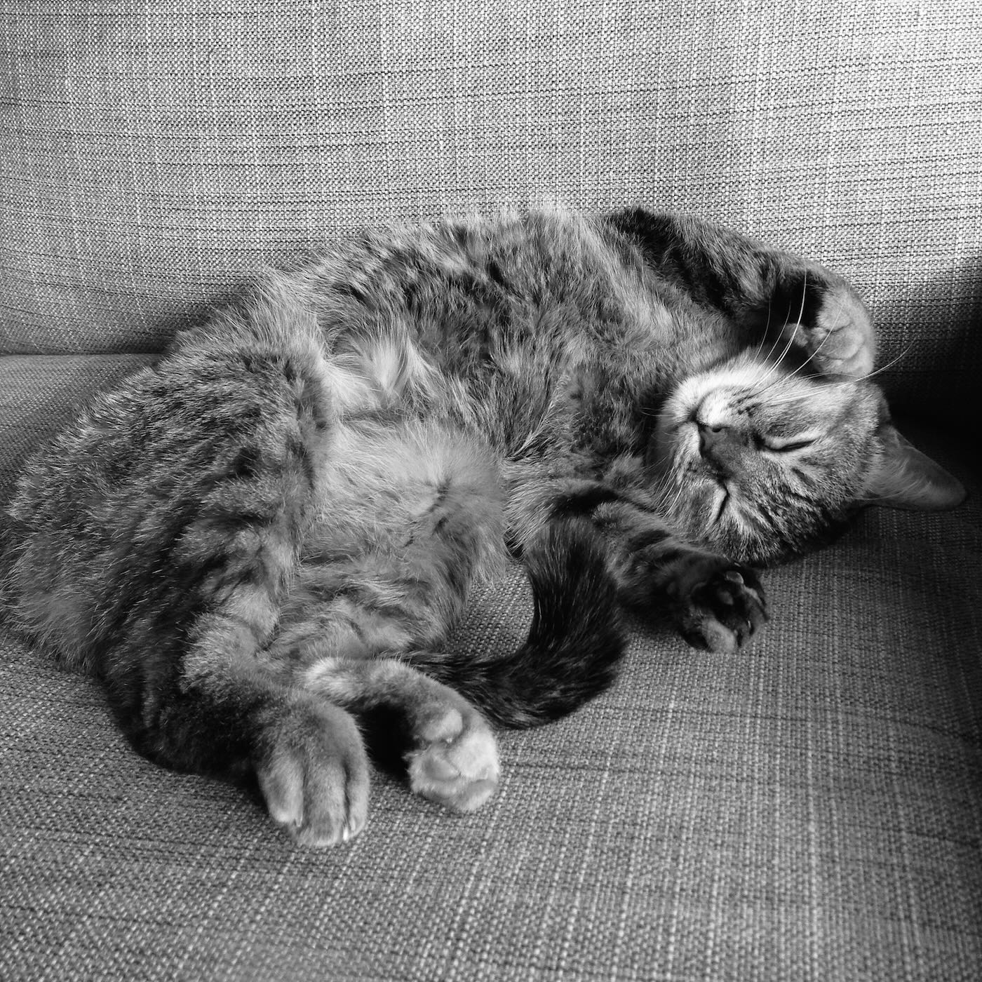 浮光記事 2025 三月 - 一口冒險 Bitesized Adventure