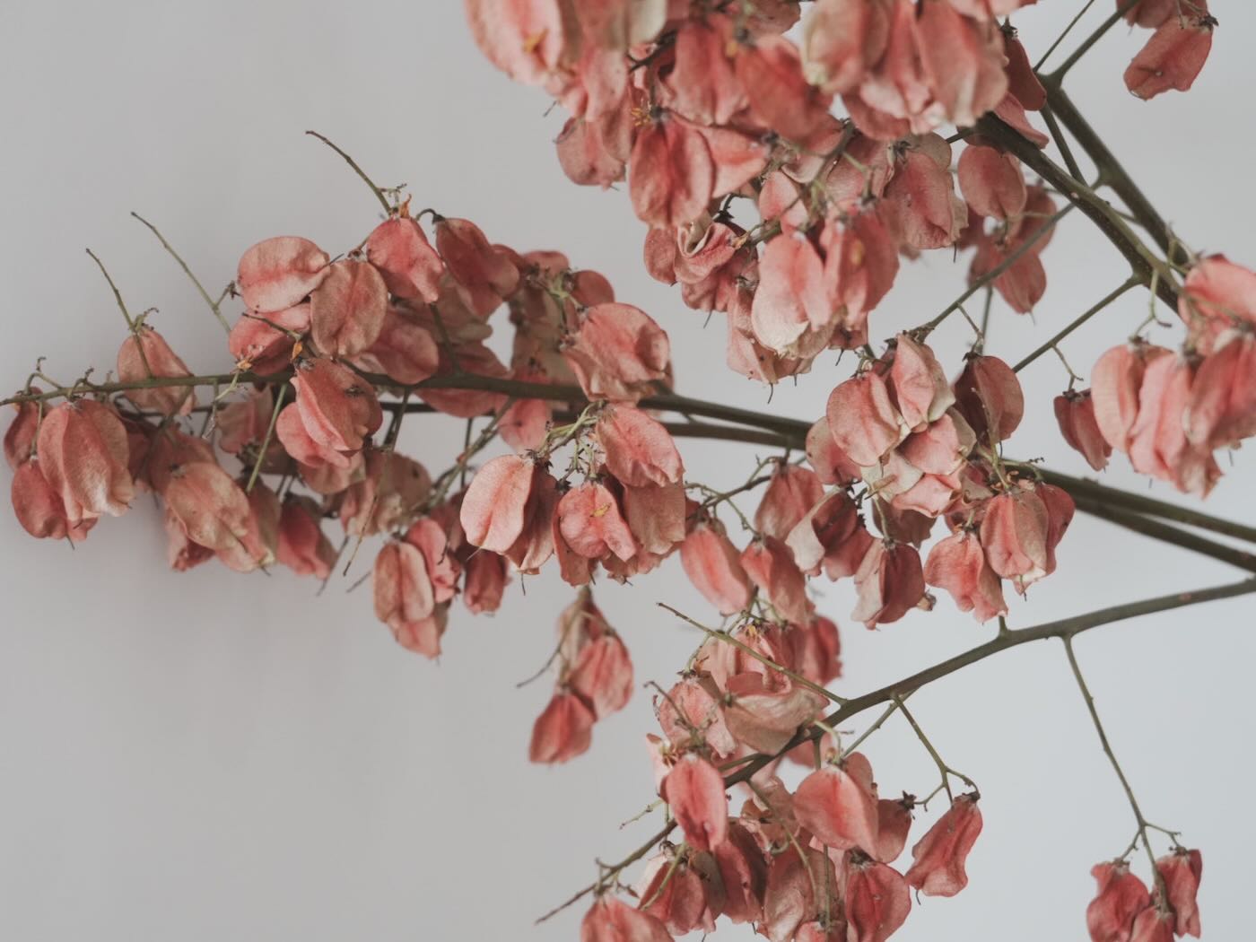 浮光記事 2025 十月 - 一口冒險 Bitesized Adventure 浮光記事 2025 十月 - 一口冒險 Bitesized Adventure