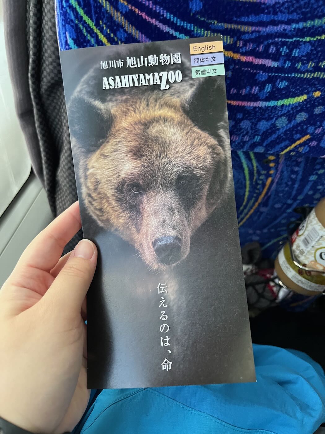 北海道景點 Klook 道央一日遊 旭山動物園企鵝散步｜白鬚瀑布｜精靈露台 - 一口冒險 Bitesized Adventure