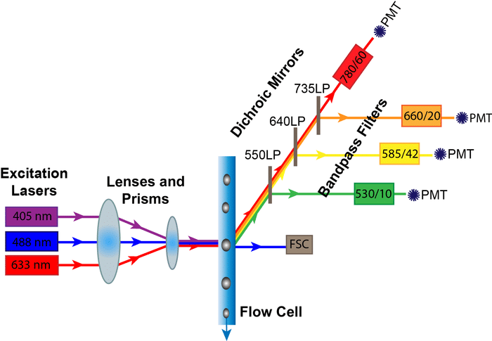 Demystifying The Flow Cytometry Optics System A Peek Under