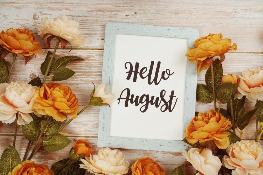August-Blog-Digest-4
