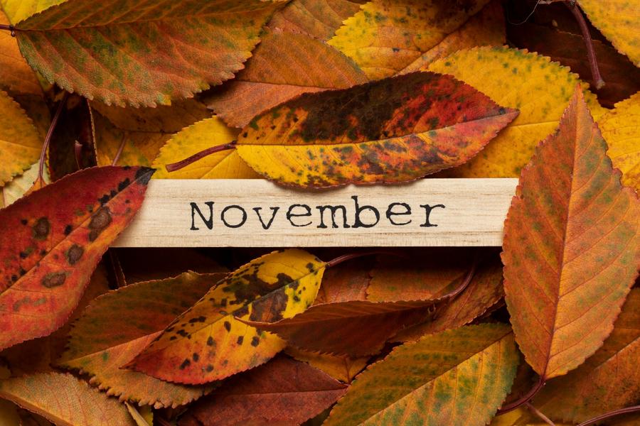 November-Blog-Digest-4