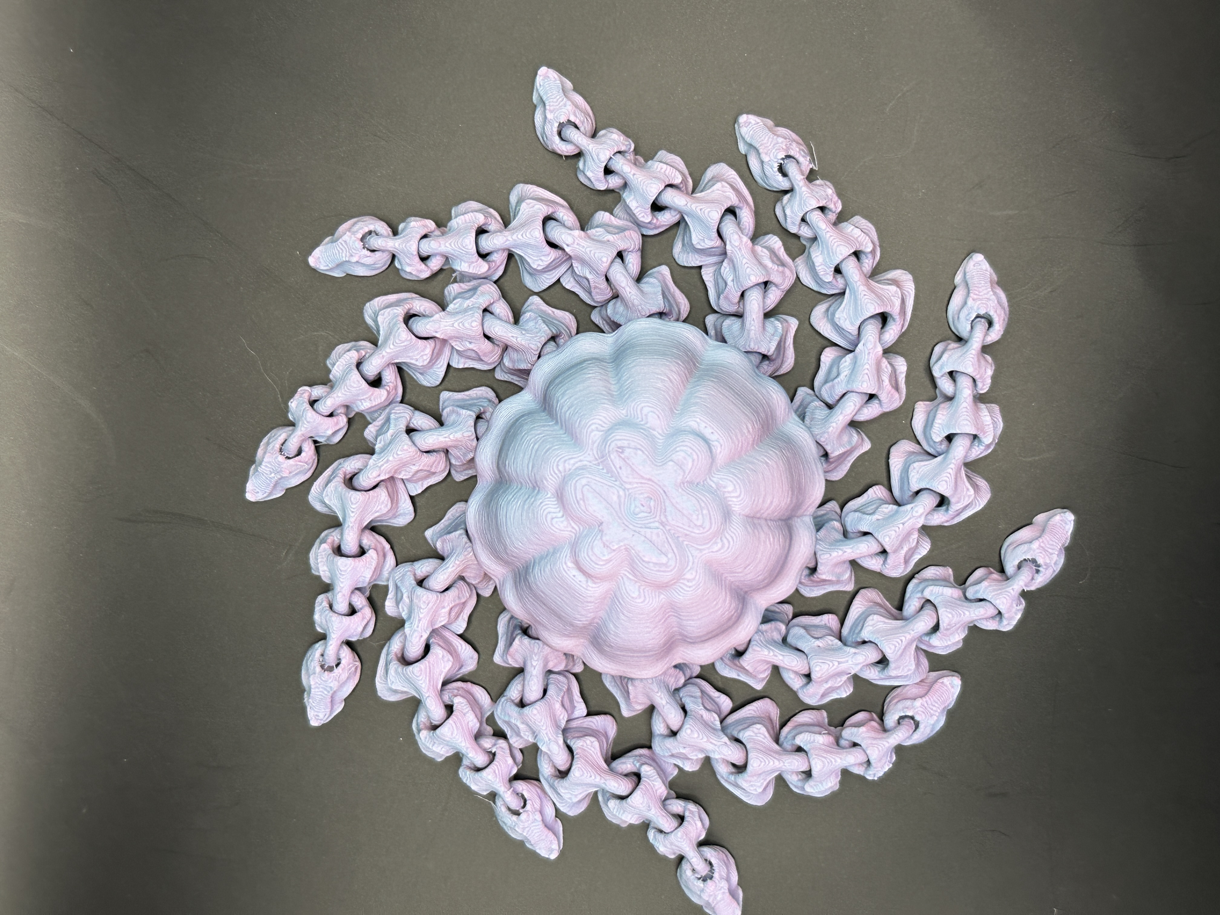 Jellyfish