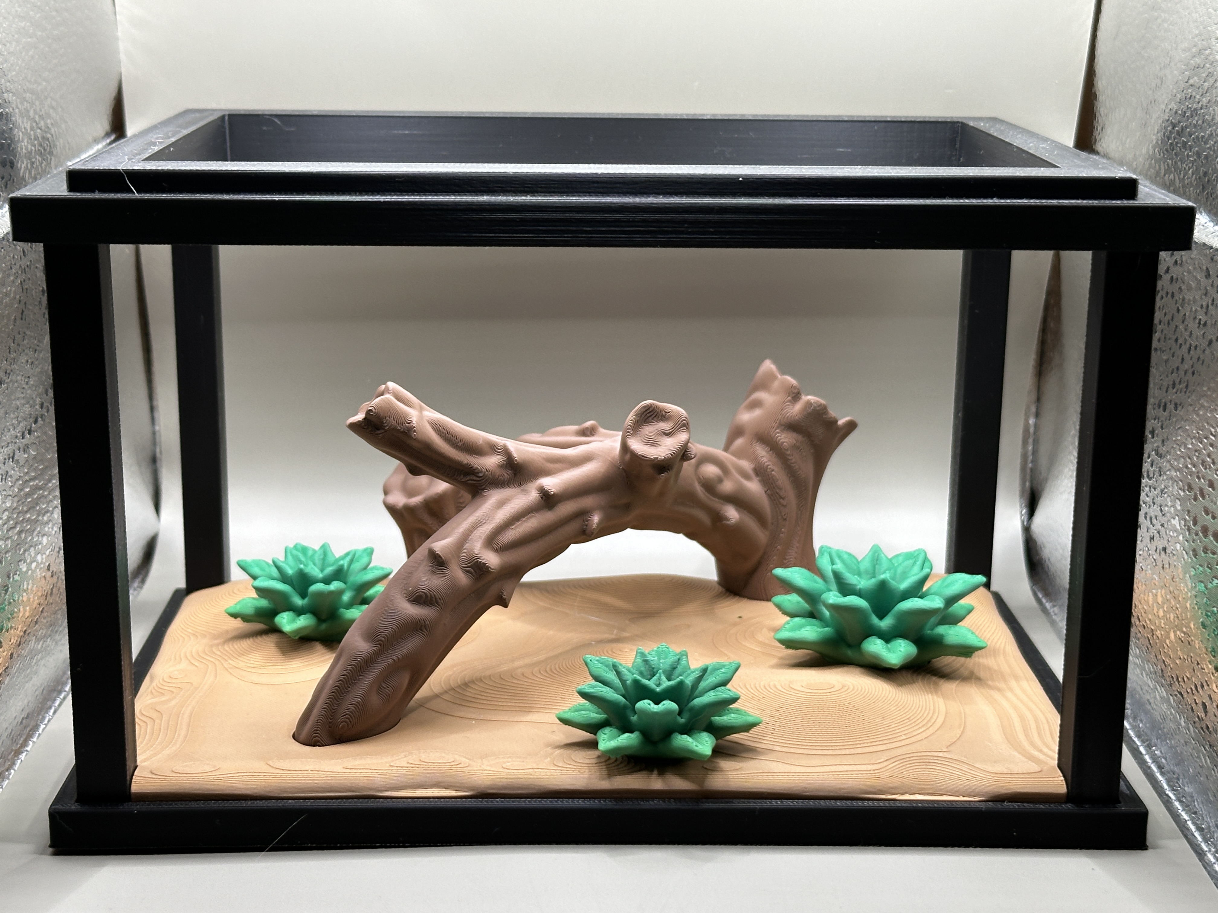 Snake Terrarium and Snake