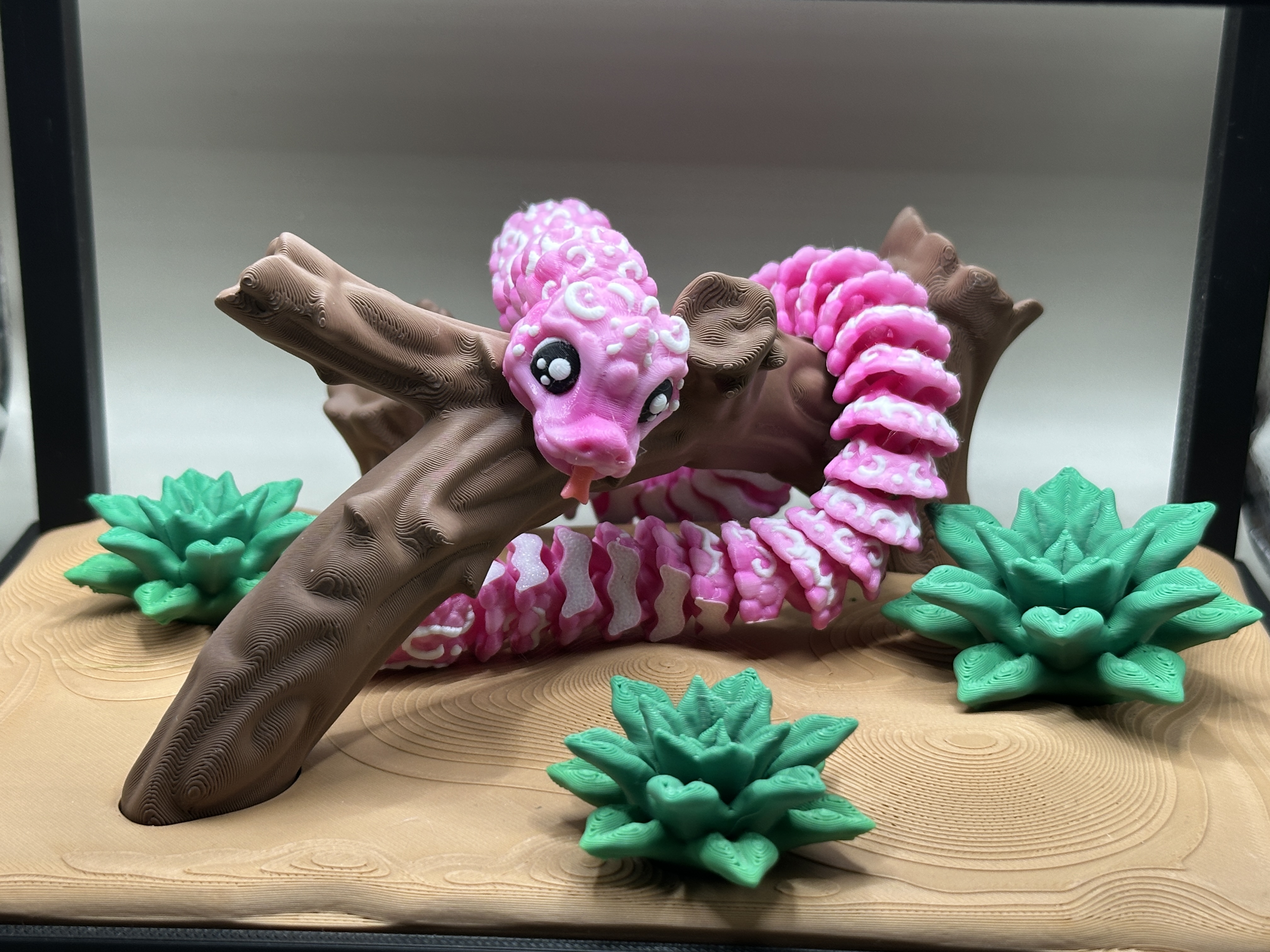 Snake Terrarium and Snake