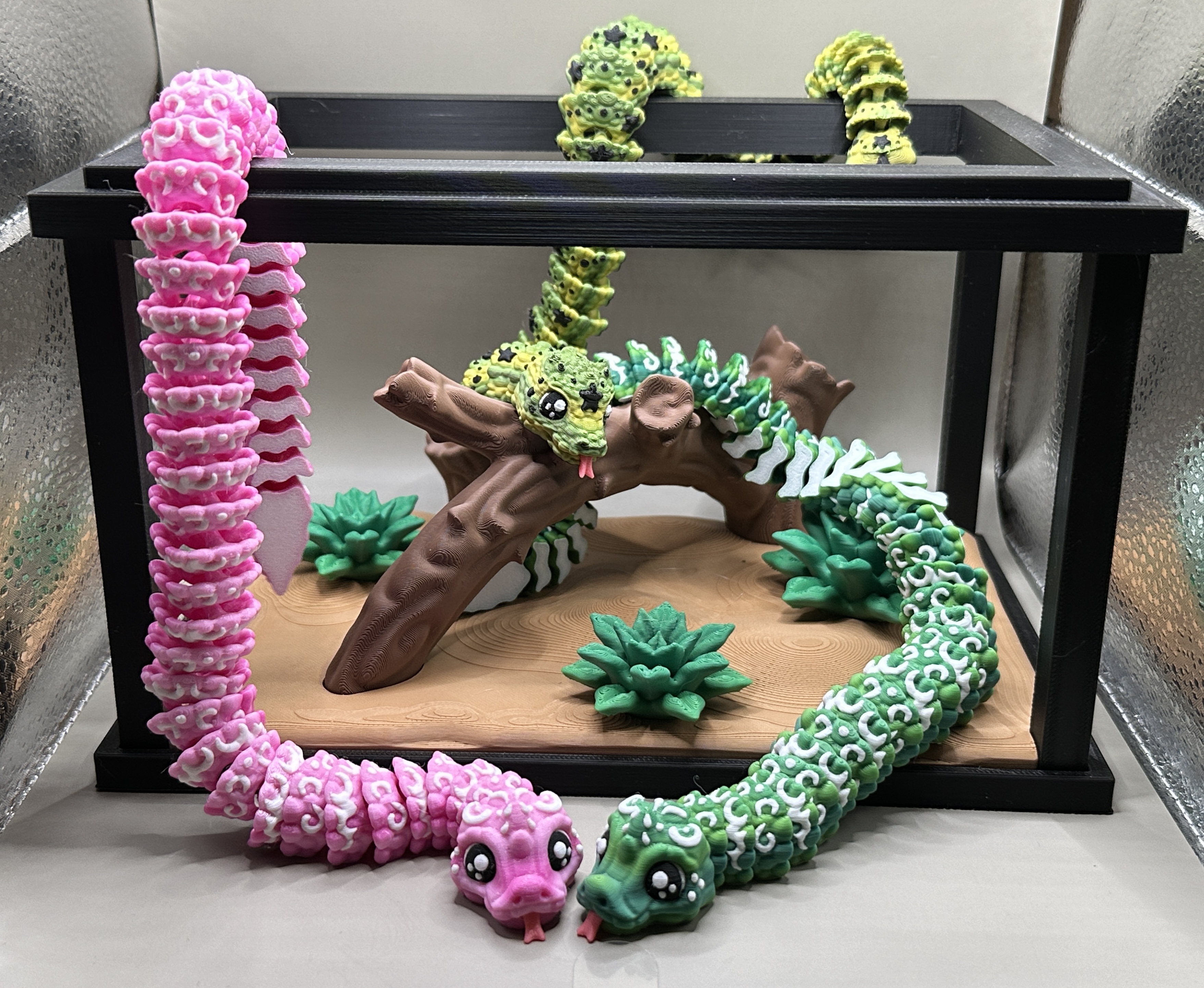 Snake Terrarium and Snake