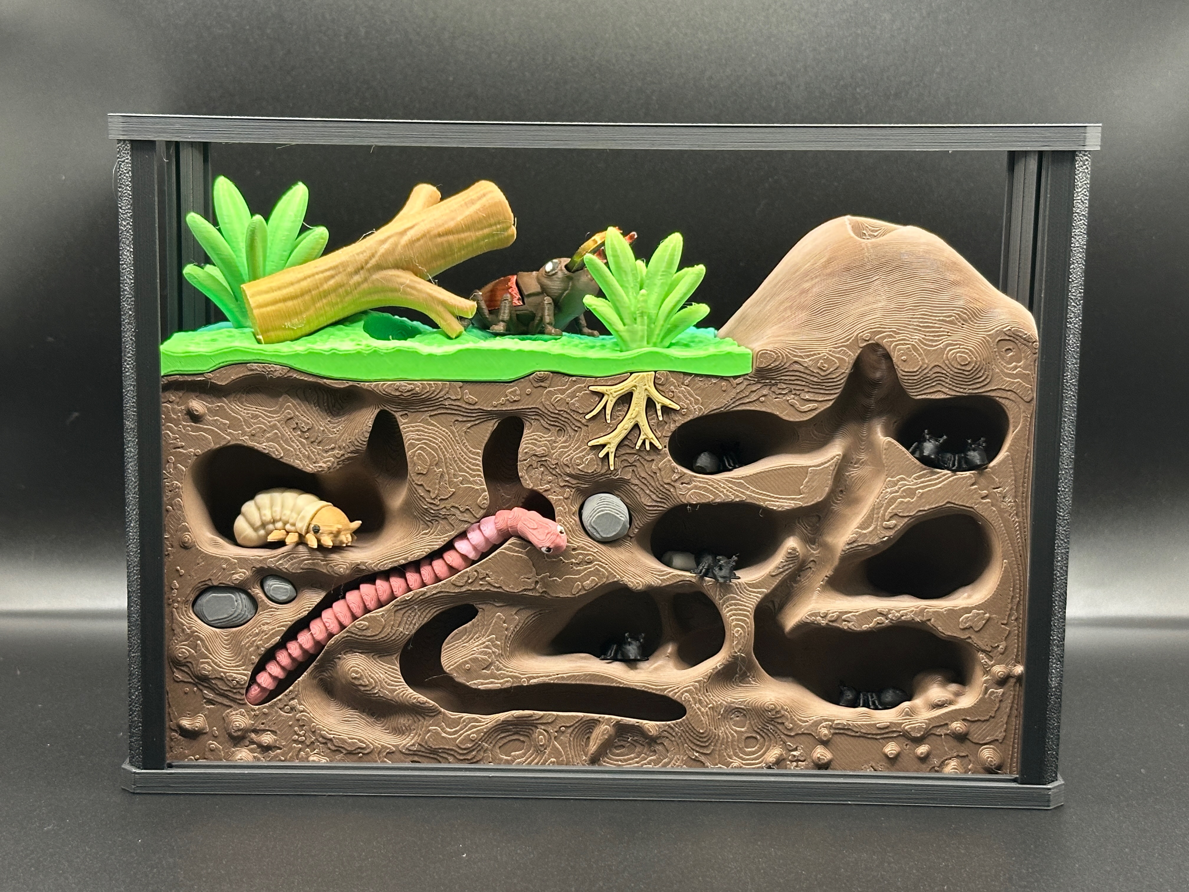 Insect Terrarium