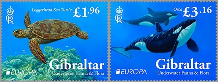 EUROPA 2024 Underwater Fauna and Flora
