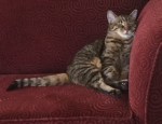 Butsleeping