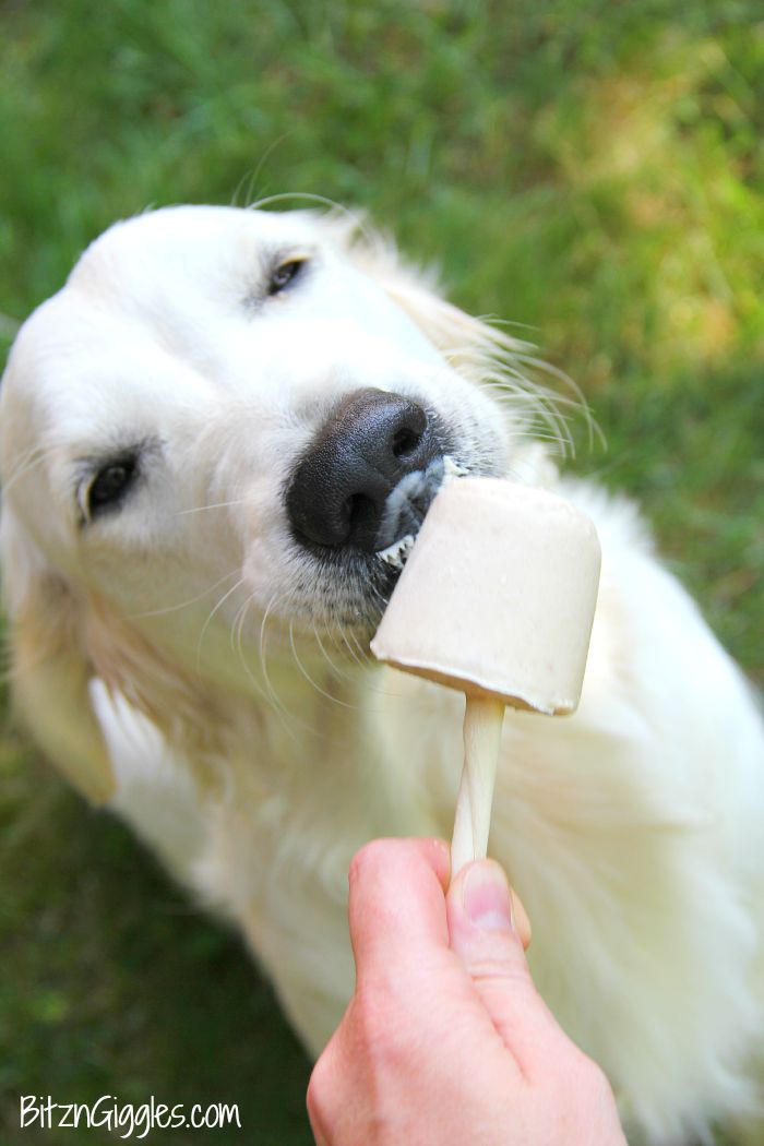 Banana Pup Pops