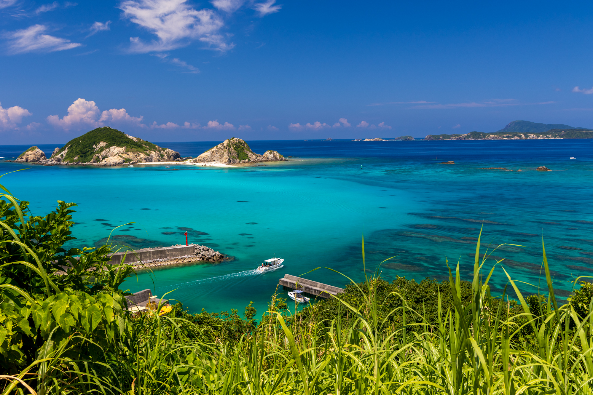 Okinawa Marabika 100SXH 売れなかったら今日で消します Okinawa Marabika 100SXH 売れなかったら今日で消します Japanese