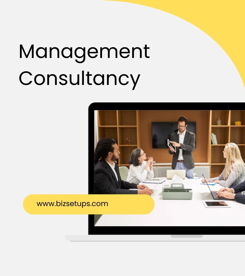 Management Consultancy