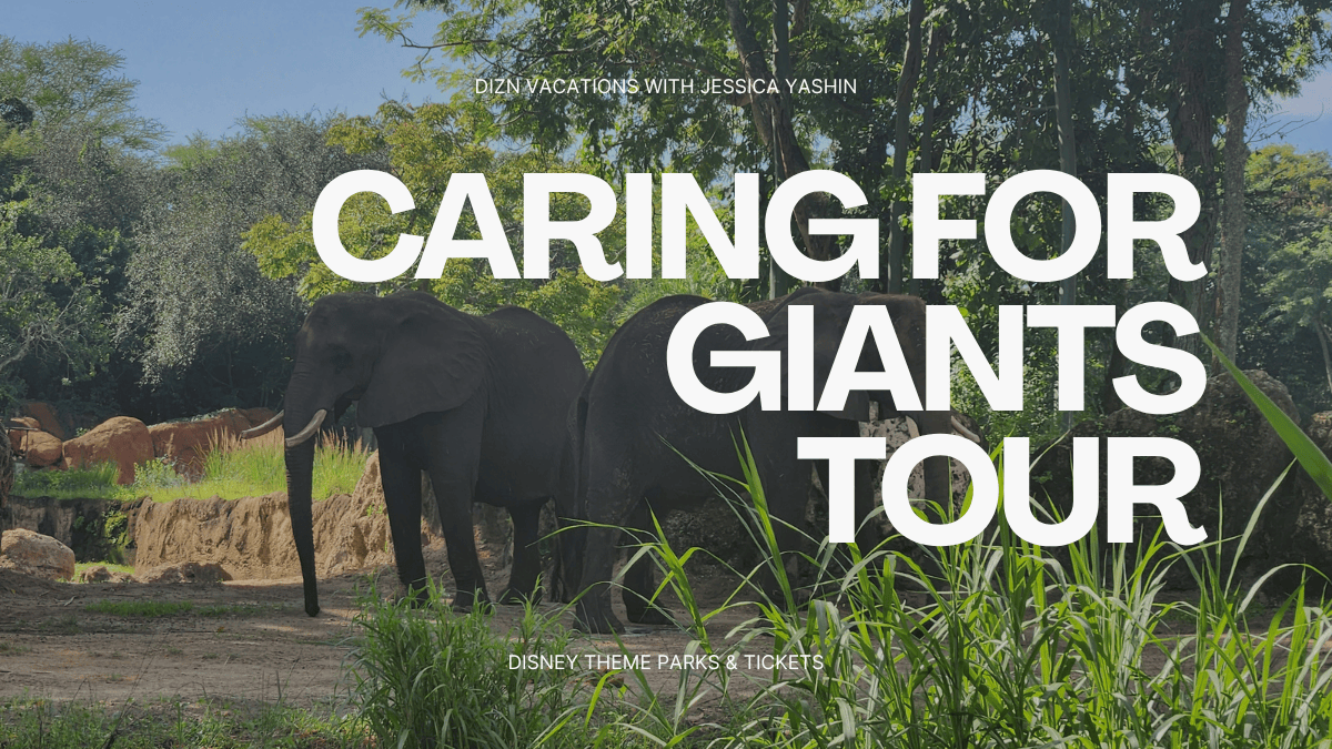 African Elephants